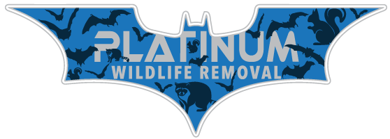Elite Animal Removal LLC