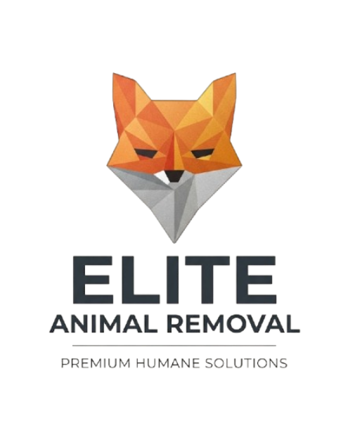 Elite Animal Removal